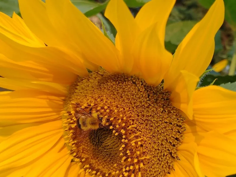 Victoria's Alterations - Clothing Alteration Services