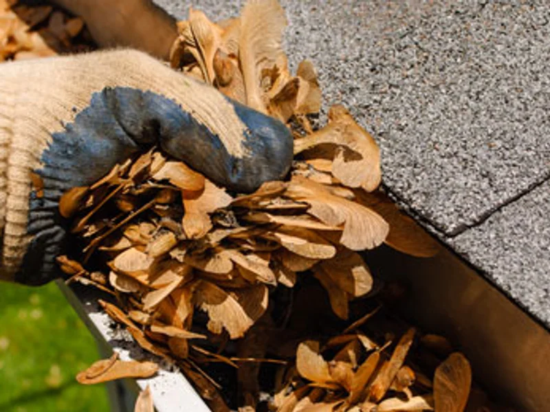 Capital Windows and Snow