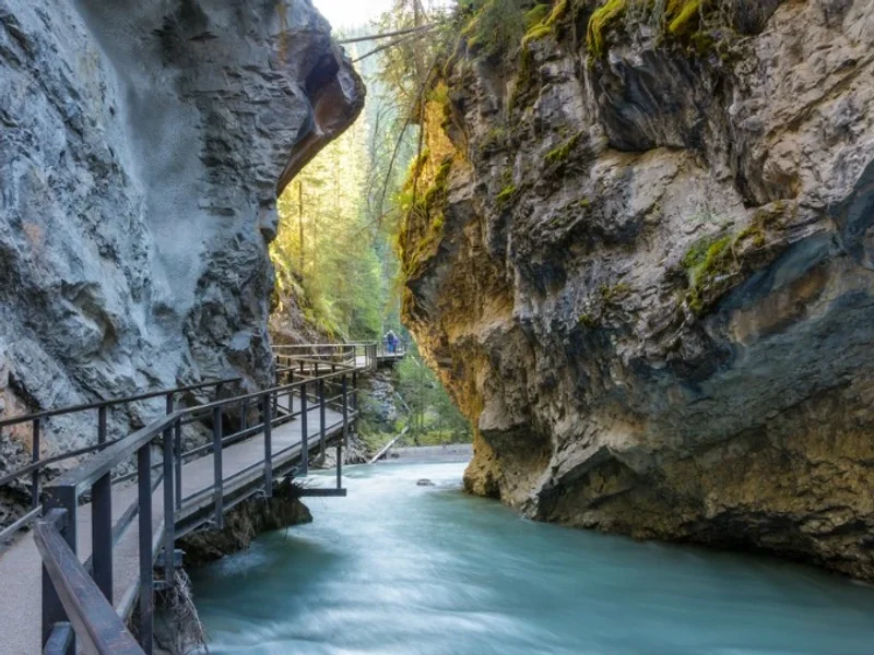 Canadian Rockids Summer Camp