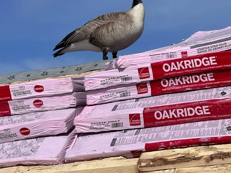 Top Glaze Roofing LTD.