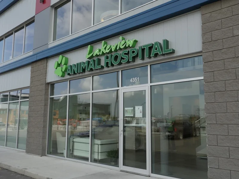 Lakeview Animal Hospital