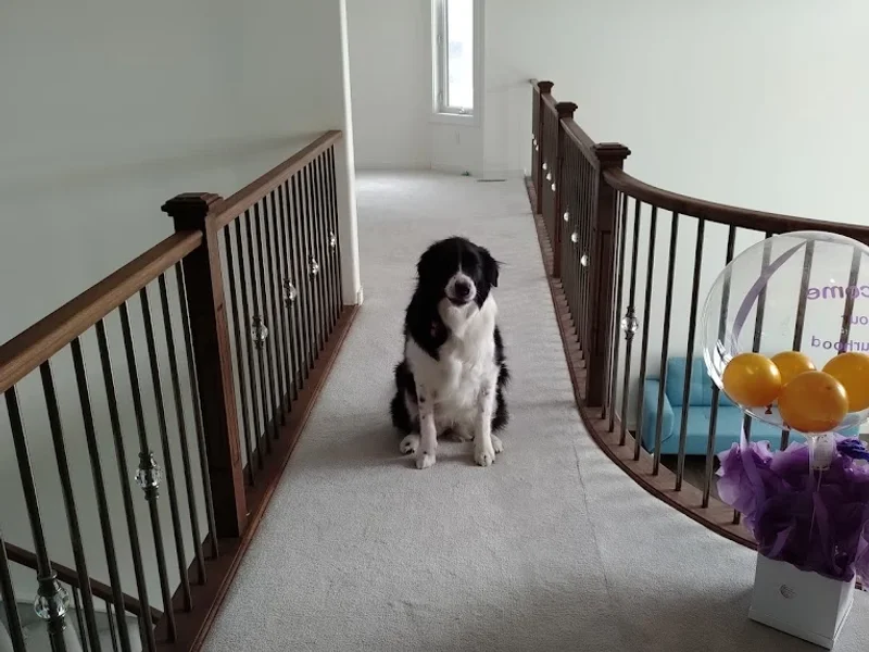 Heritage Valley Animal Hospital