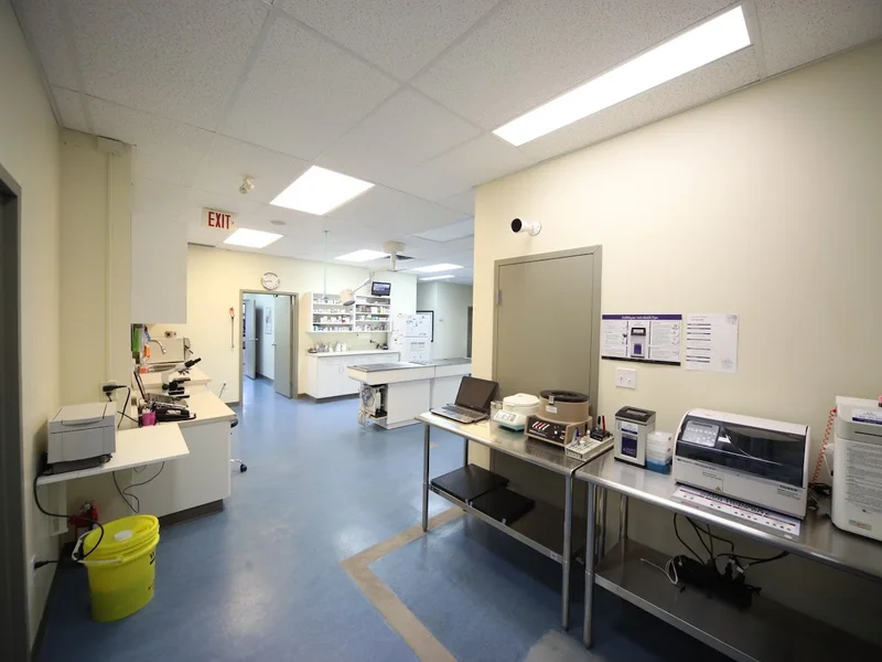 Glenora Family Pet Clinic