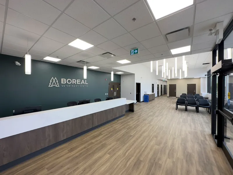 Boreal Veterinary Centre