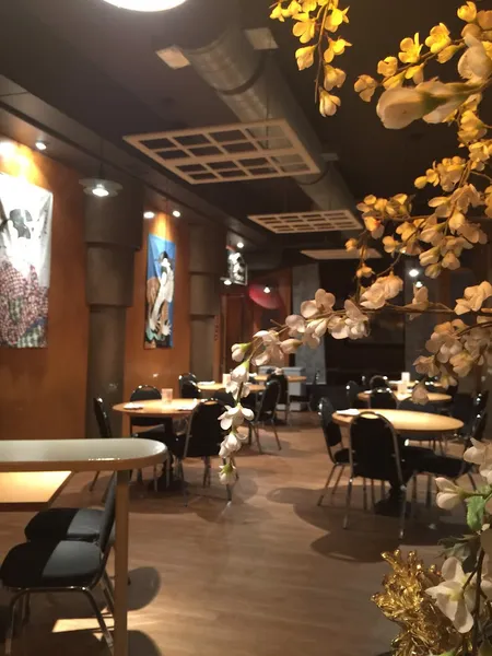 Mooshiro Japanese Cuisine