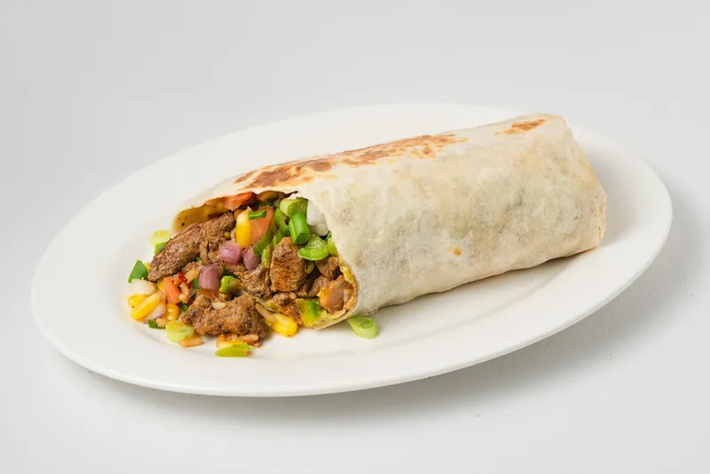 Fresh Burrito