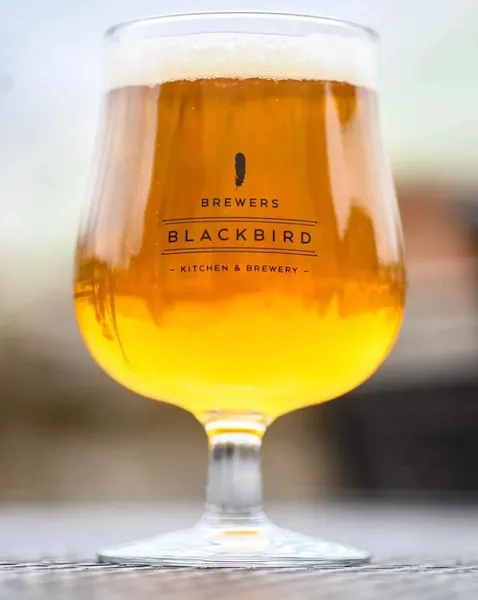 Brewer's Blackbird Kitchen & Brewery