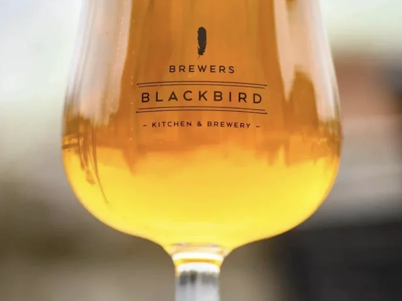 Brewer's Blackbird Kitchen & Brewery