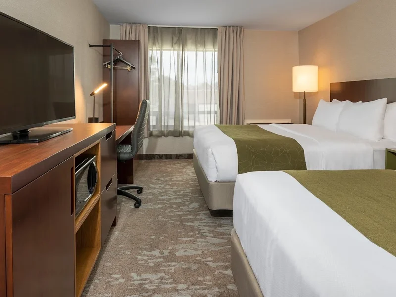 Comfort Inn Hamilton