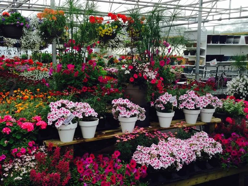 Red Valley Plant Market