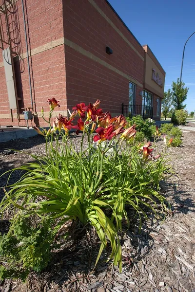 Ron Paul Garden Centre - Concrete Pavers & Landscaping