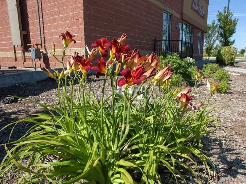 Ron Paul Garden Centre - Concrete Pavers & Landscaping