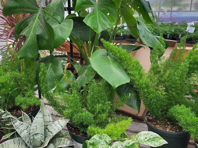 Jensen Nursery & Garden Centre