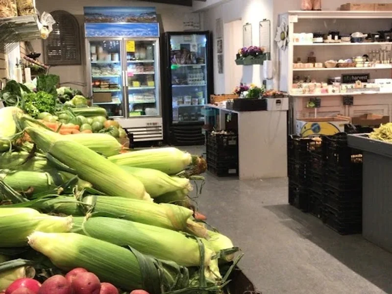 Country Roots Market & Garden