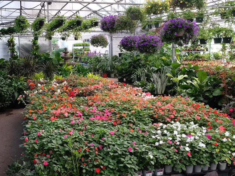 Satellite Florist & Garden Centre