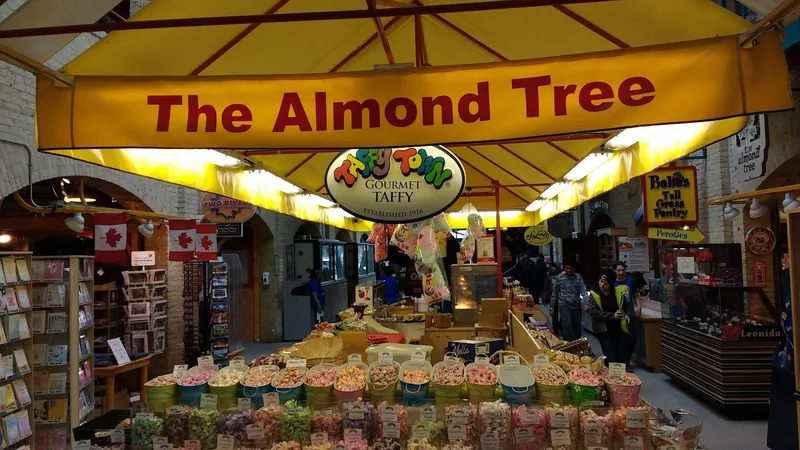 The Almond Tree