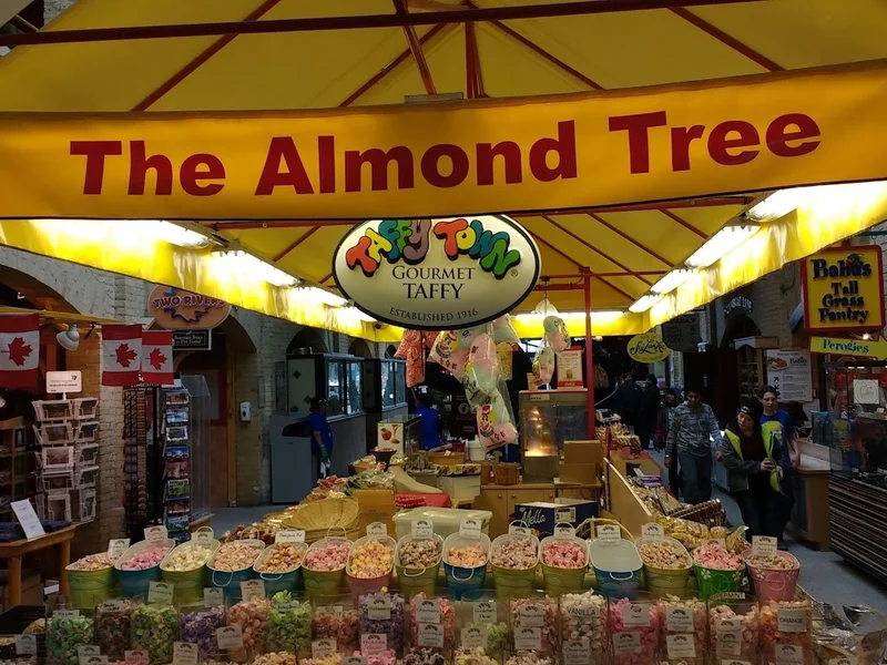 The Almond Tree