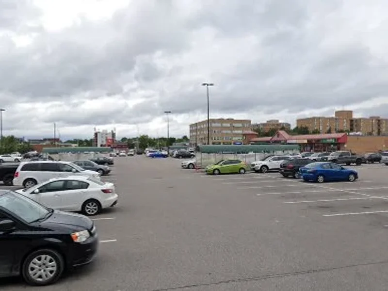 Theodore & Pringle Optical in Fortinos