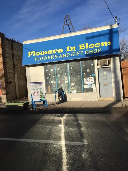 Flowers In Bloom - Winnipeg Florist