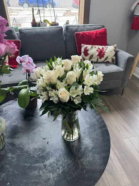 Bloomen Flower Delivery - Hamilton