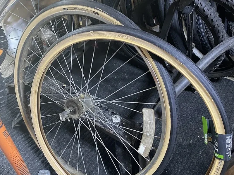 Bike Doctor (Winnipeg)