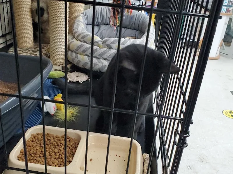 Best West Pet Foods Inc