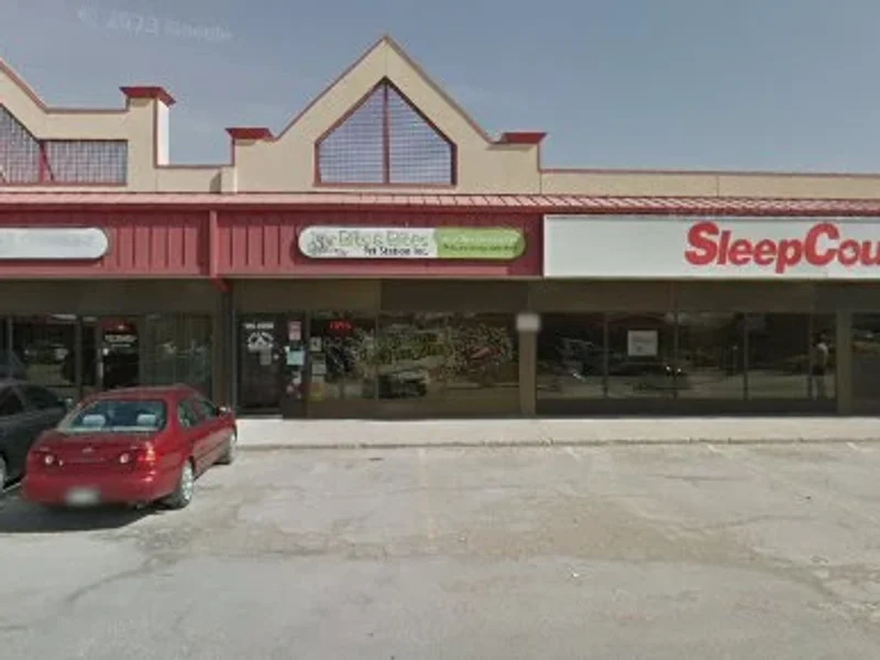 Bits & Bites Pet Station