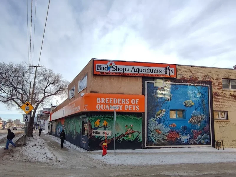 Bird Shop & Aquariums