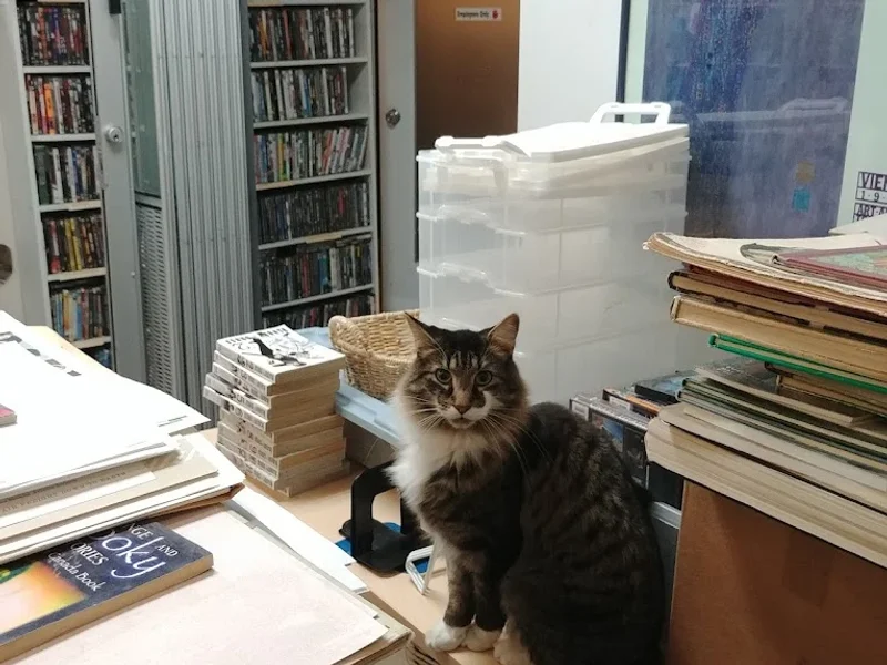 The River Trading Company