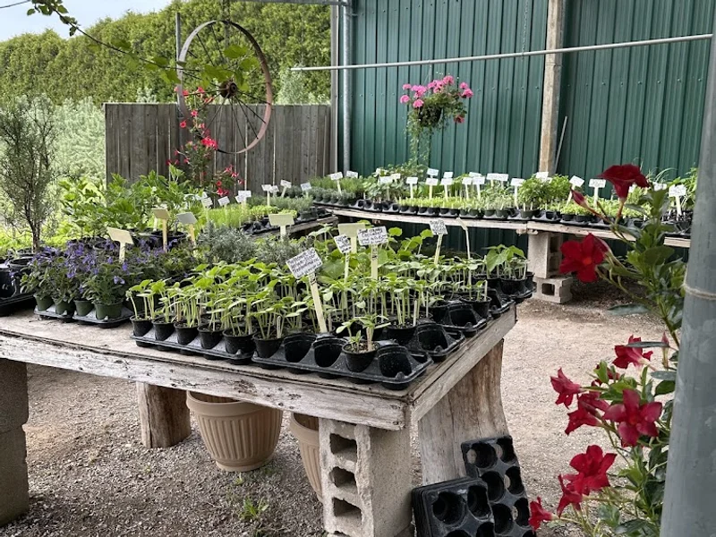 J-R Greenhouse