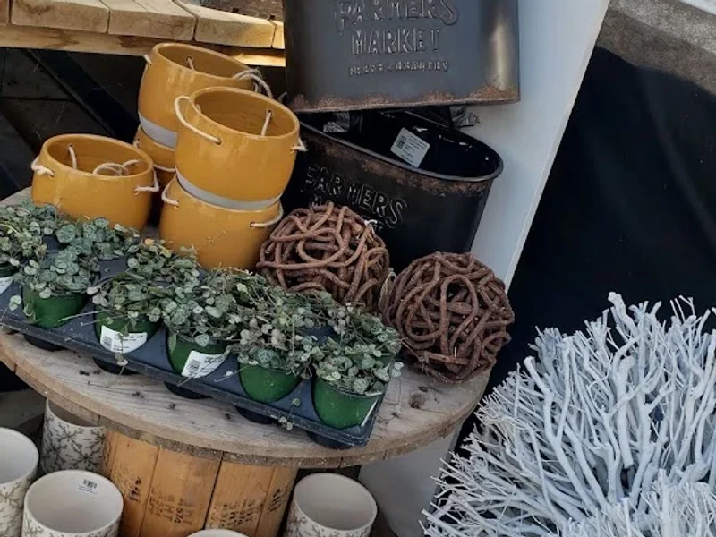Connon Nurseries