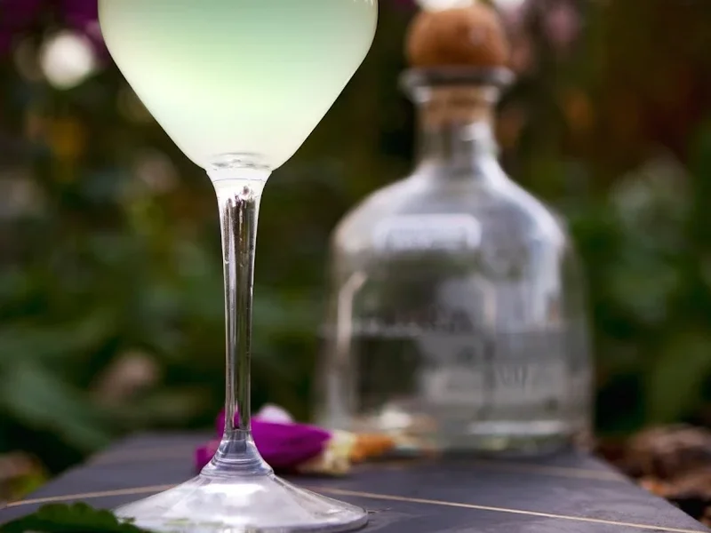 Cocktails Need Company