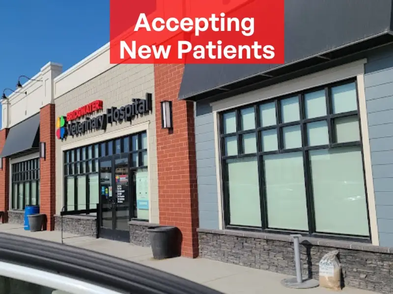 Bridgwater Veterinary Hospital & Wellness Center