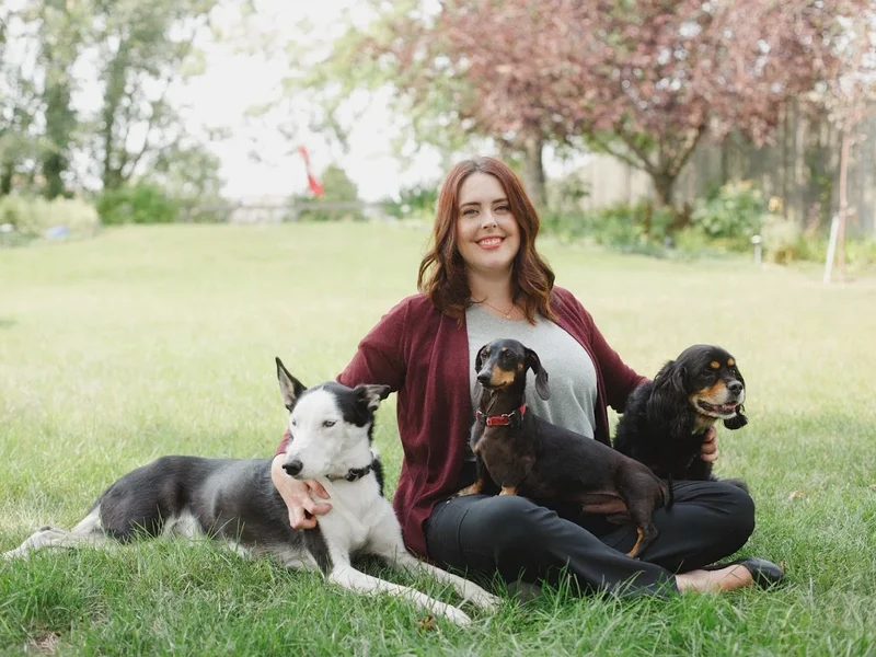 Sunset Veterinary Care