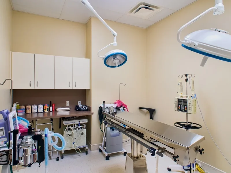 Sage Creek Animal Hospital