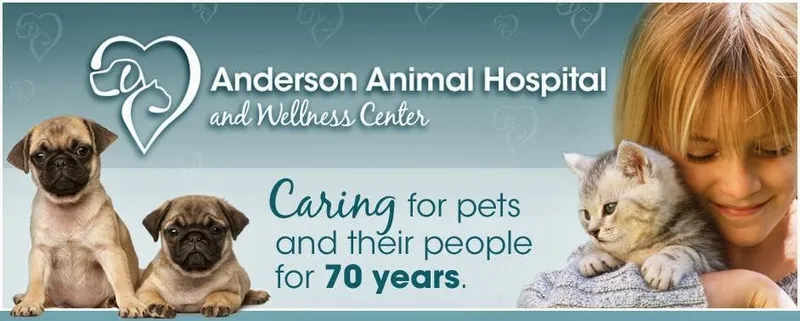 Anderson Animal Hospital & Wellness Center Winnipeg