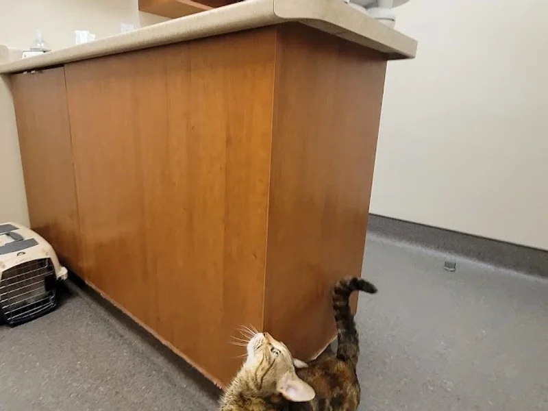 Plessis Veterinary Hospital
