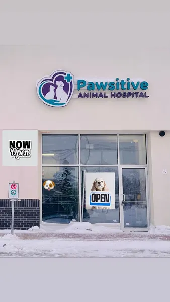 Pawsitive Animal Hospital in Winnipeg