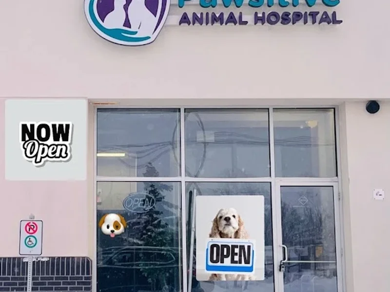 Pawsitive Animal Hospital in Winnipeg