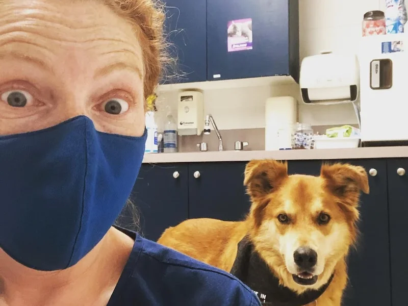 St. Vital Veterinary Hospital