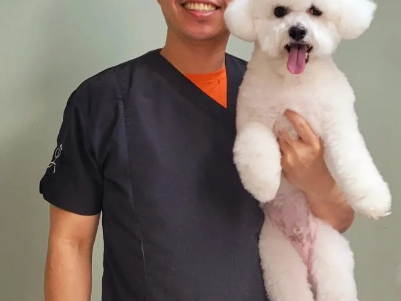 Oliver Professional Dog and Cat Grooming Spa