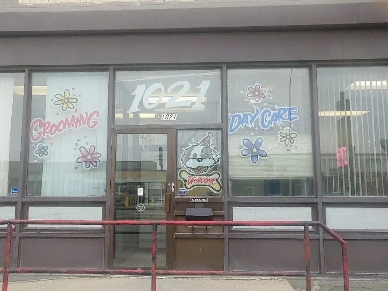 Happy Dog's Grooming