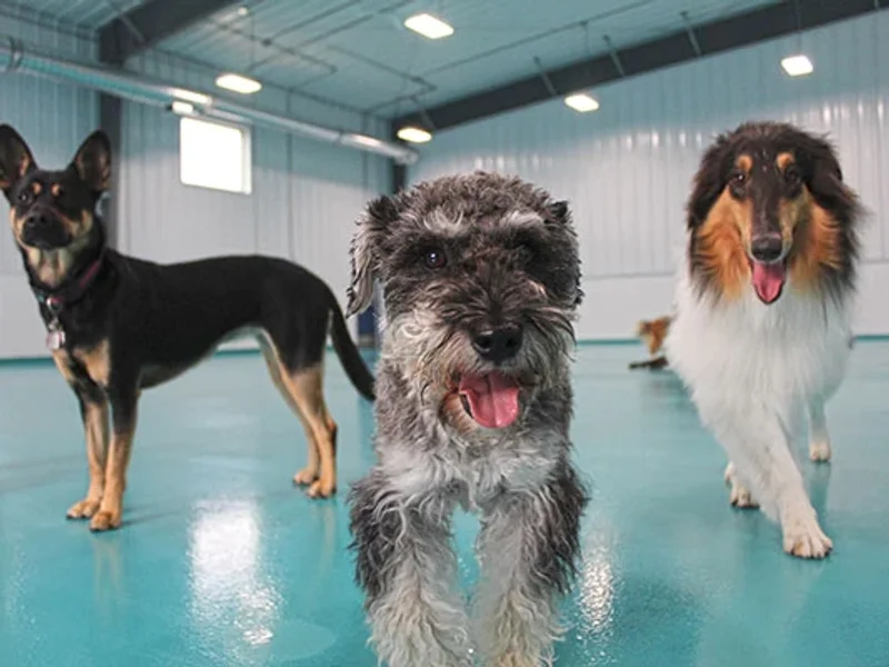 Happy Tails Pet Resort & Spa