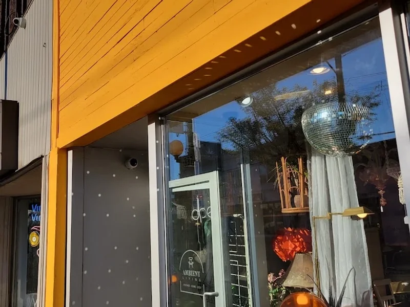 Ambient Living 〰️ Vintage Home Store