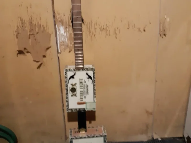 my cigar box guitars