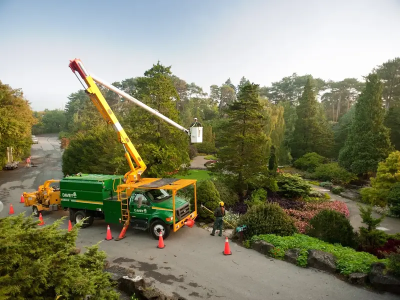 Davey Tree Expert Co. of Canada, Limited