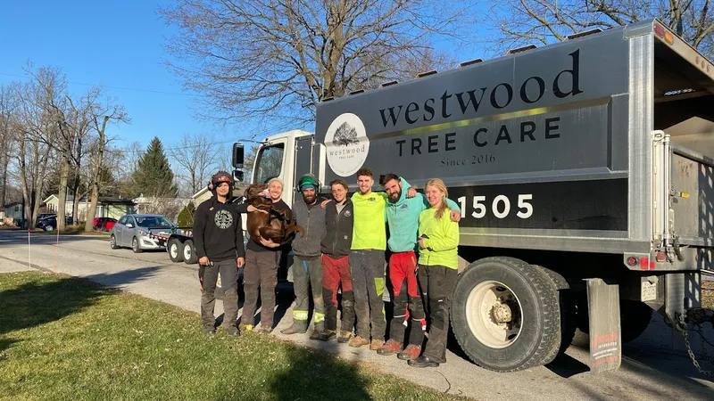 Westwood Tree Care