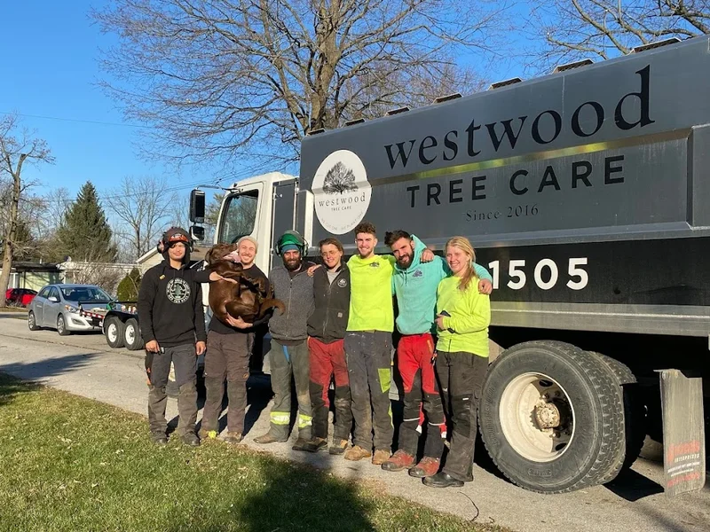Westwood Tree Care