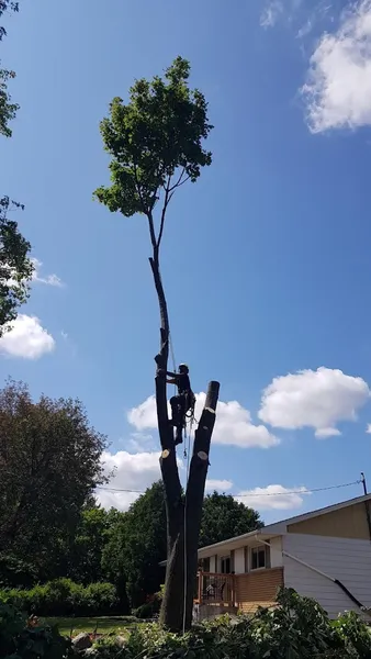 Ecotree Arborist Solutions