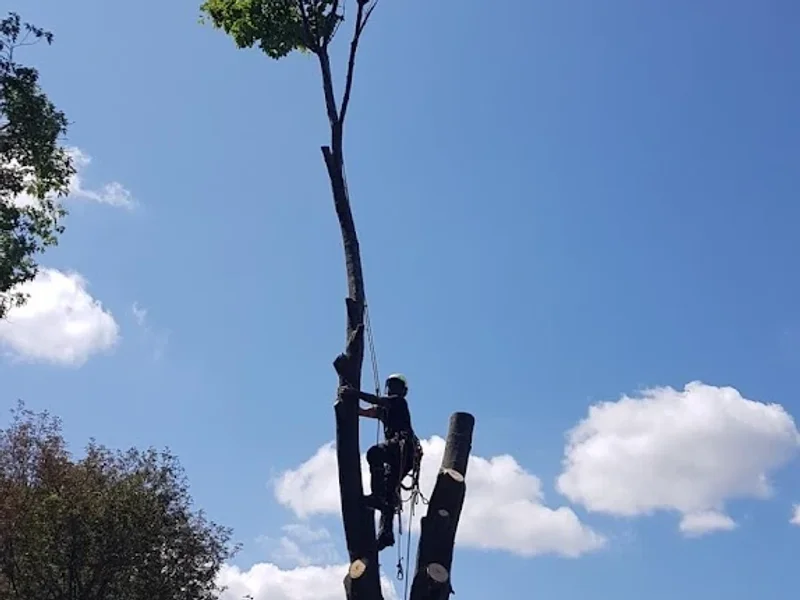 Ecotree Arborist Solutions